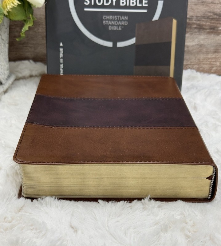 The Apologetics Study Bible: Christian Standard Bible in Mahogany Leather Touch gallery