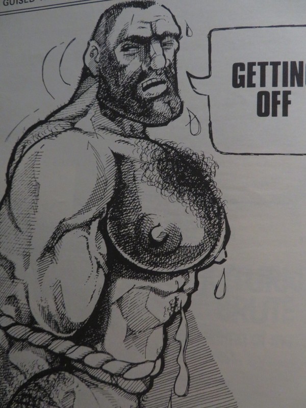 DRUMMER #23 DRUM & HARRY CHESS COMICS RED HOT REDNECKS 1978 CENTERFOLD VINTAGE gallery