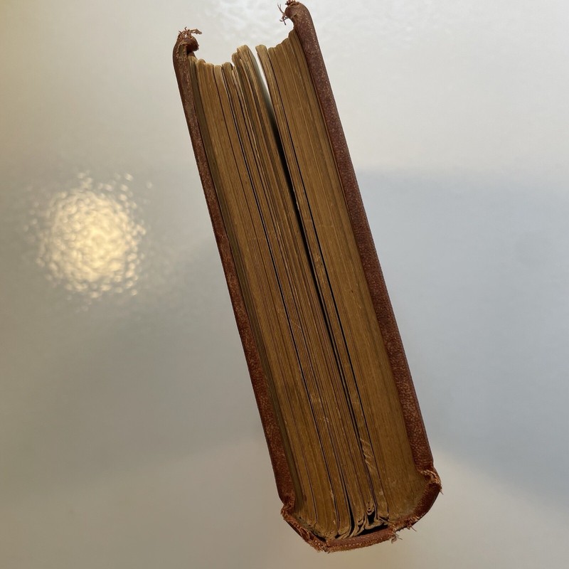 Enigmas of Life by W. R. Greg, 1880, Antique Hardcover, Henry Holt and Company. gallery