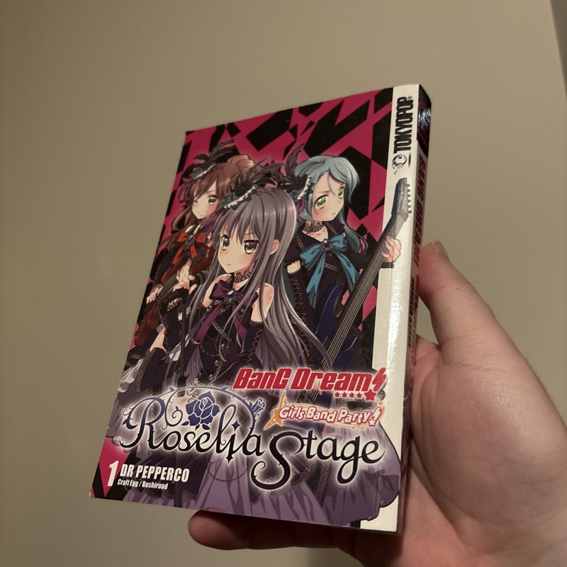 BanG Dream! Girls Band Party! Roselia Stage, Volume 1 (Paperback)