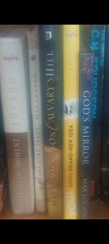 Multiple Max Lucado Lot Of 23
