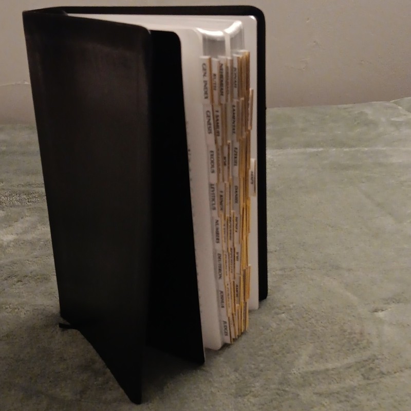 CEB Common English Bible Reference Bible Bonded Leather Black Indexed Tabs 2011 gallery