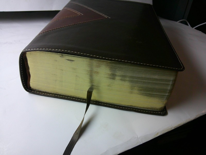 TYNDALE NLT ILLUSTRATED STUDY BIBLE BONDED LEATHER 2015 NICE gallery