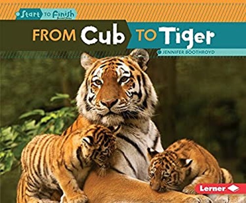 From Cub to Tiger Library Binding Jennifer Boothroyd