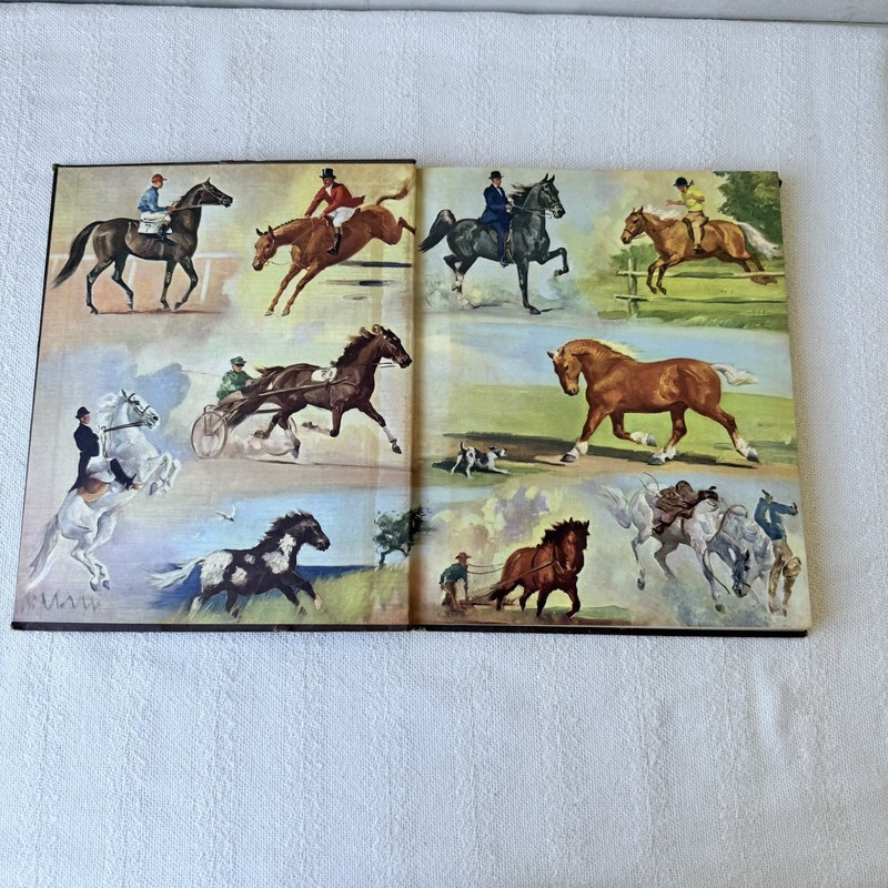 Vintage Children's Book ALBUM OF HORSES by Marguerite Henry 1957 Hardcover gallery