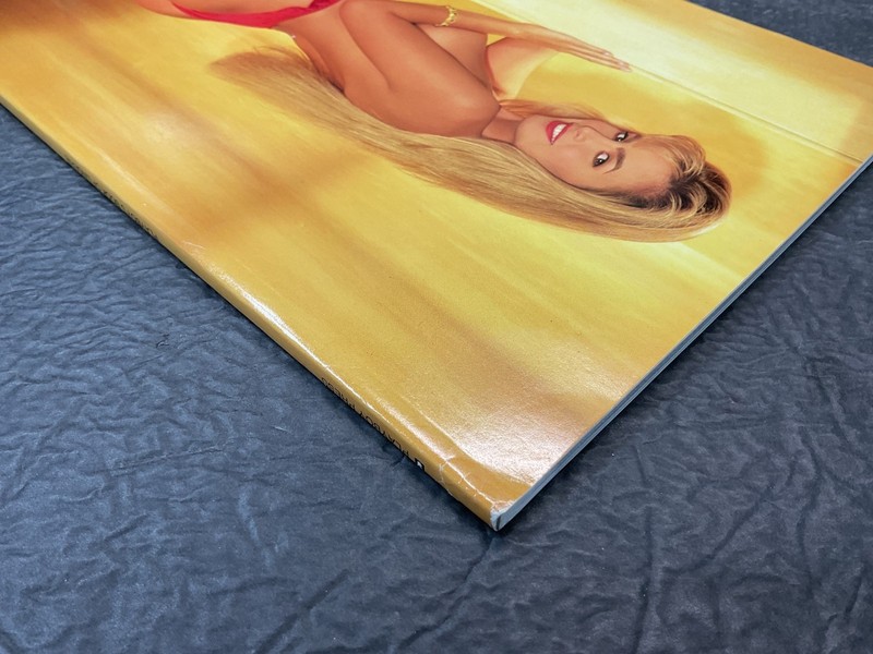 Playboy Press Special Edition Magazine Playboy's Book of Lingerie Mar/Apr 1992 gallery