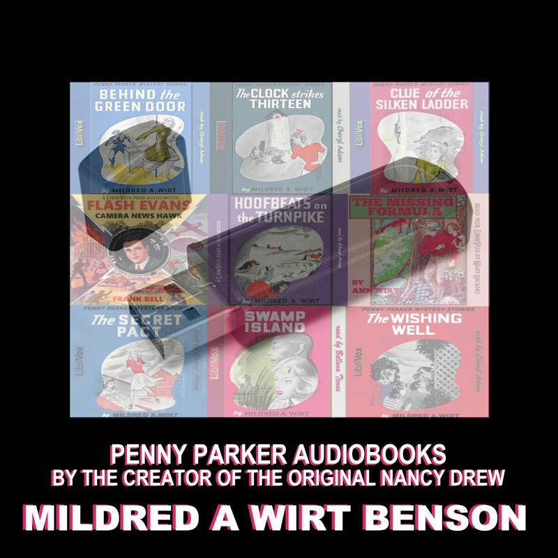 PENNY PARKER AUDIOBOOKS BY MILDRED WIRT. NINE BOOKS ON ONE USB FLASH DRIVE!