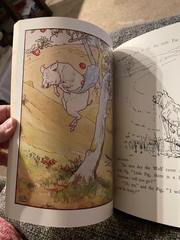 The Golden Goose Book. with drawings by L. Leslie Brooke. 1905 edition Hardcover gallery