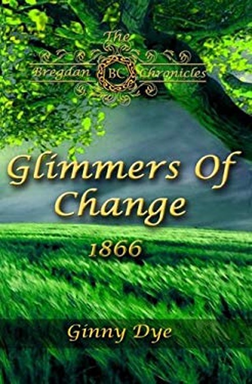 Glimmers of Change Paperback Ginny Dye