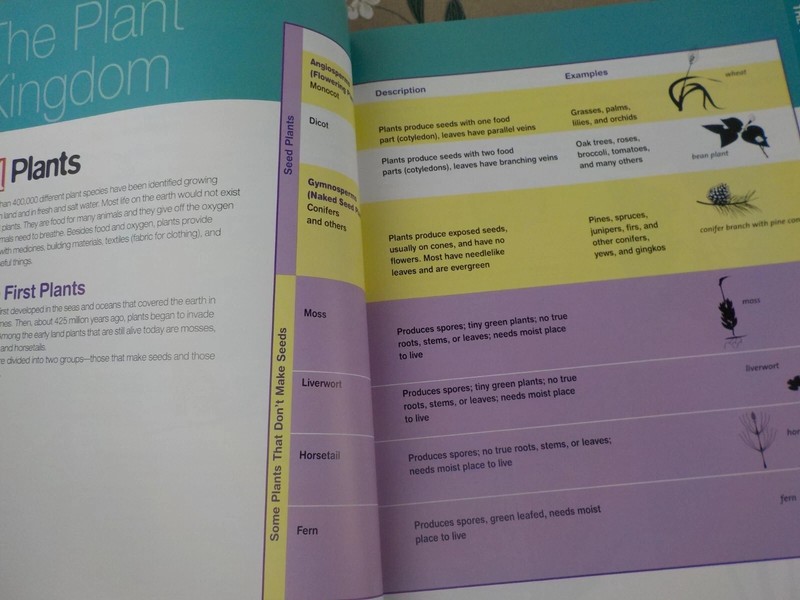 Everything You Need To Know About Science Homework-Anne Zeman/Kate Kelly1365/8 gallery