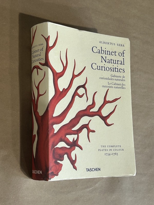 Albertus Seba Cabinet of Natural Curiosities Book Multilingual Edition Paperback gallery