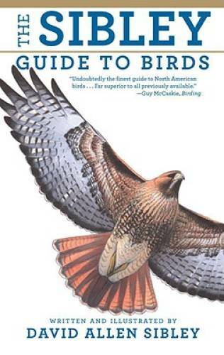 The Sibley Guide to Birds – Paperback By David Allen Sibley – GOOD