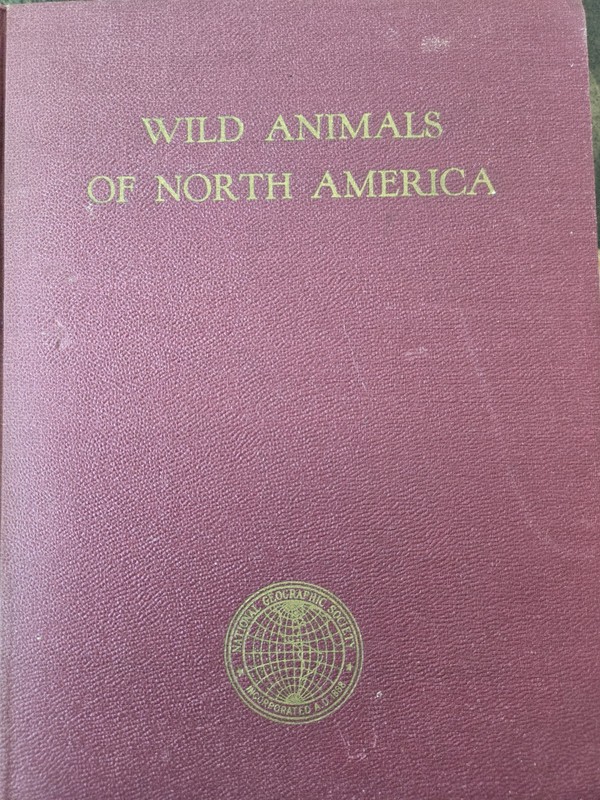 Wild Animals of North America, National Geographic 1930
