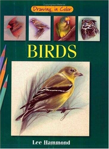 Birds (Drawing in Color) – Paperback By Hammond, Lee – GOOD