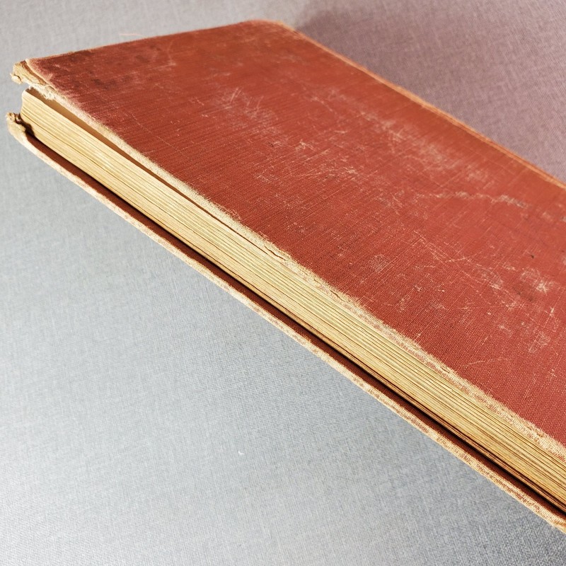 Pete Tom Robinson 1941 First Edition Illustrated Dog Story Viking Press gallery