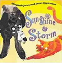 Sunshine and Storm
