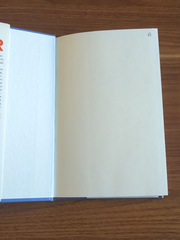 DEAD AIR by Mike Lupica 1986 Hardcover Book Club Edition with Dust Cover Good gallery
