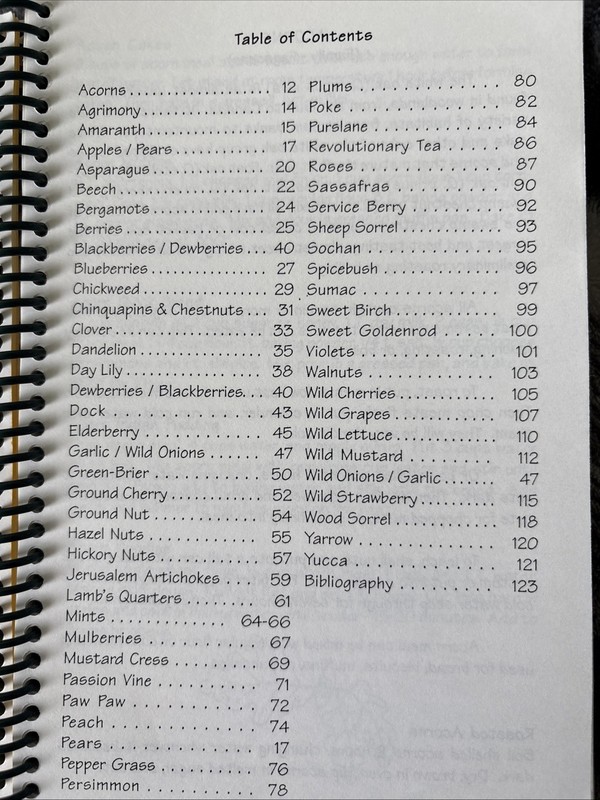 Roadside Rambles A Collection Of Wild Food Recipes Spiral Bound Cookbook 2001 gallery