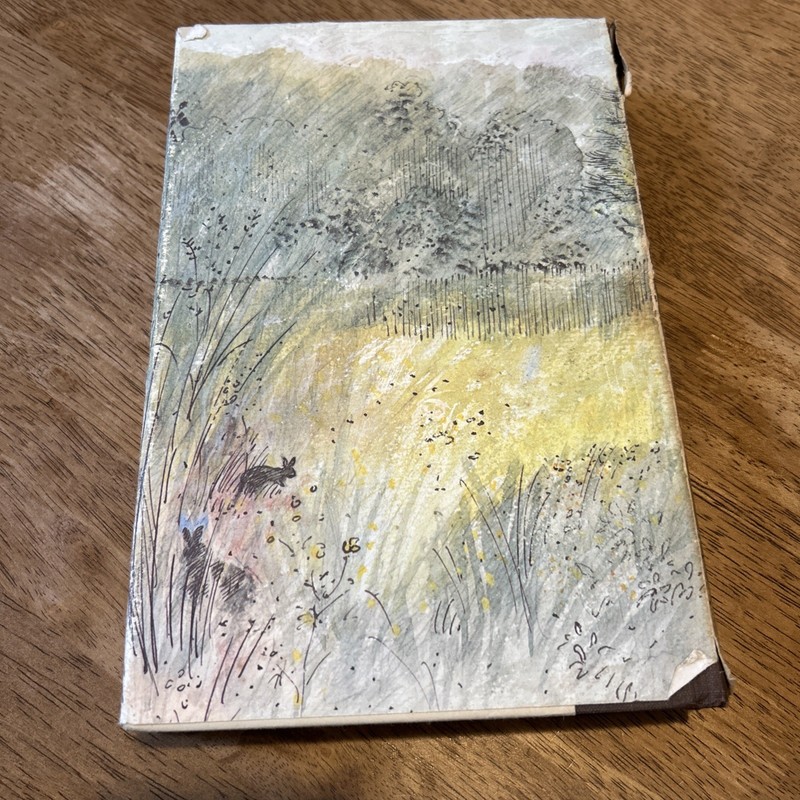 Watership Down Illustrated Edition 1978 Slip Case Dust Jacket Map Richard Adams gallery