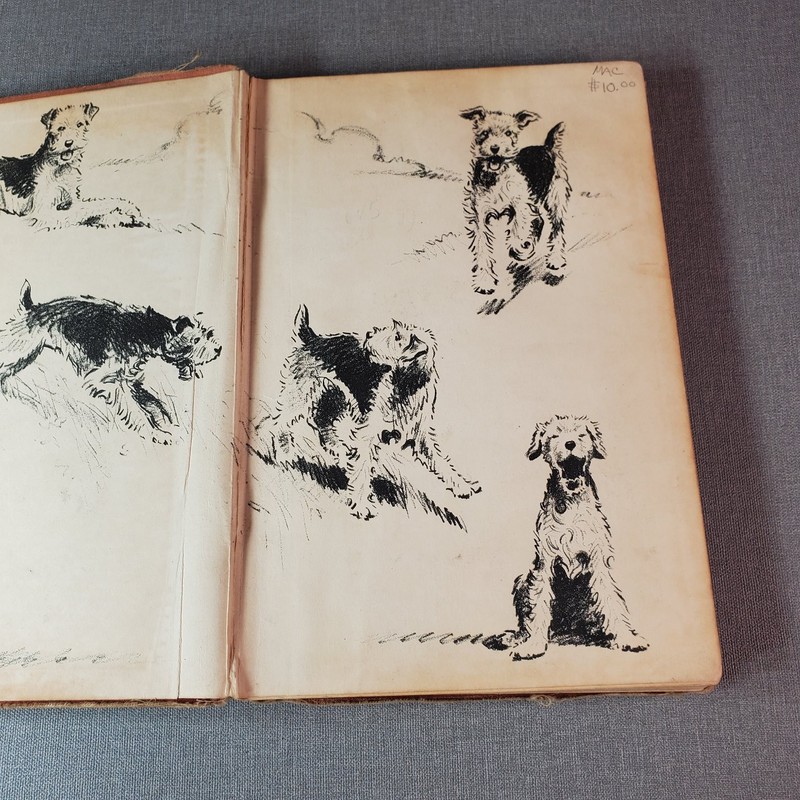Pete Tom Robinson 1941 First Edition Illustrated Dog Story Viking Press gallery