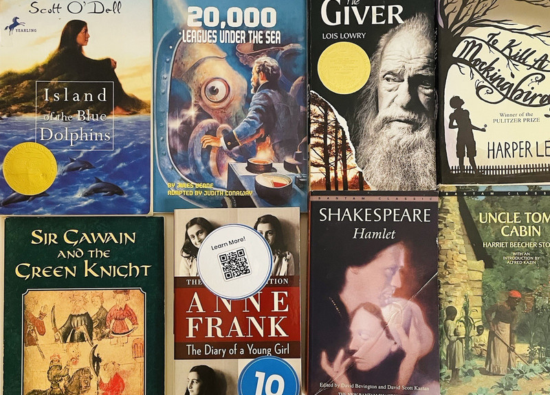 Lot of 8 Classic Chapter Books Paperback Kids Literature 8-12 Grade
