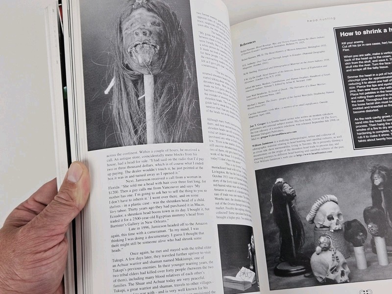 FLESH & BLOOD Book One Illustrated Shock Horror B Movie Book - 1998 Fab Press UK gallery