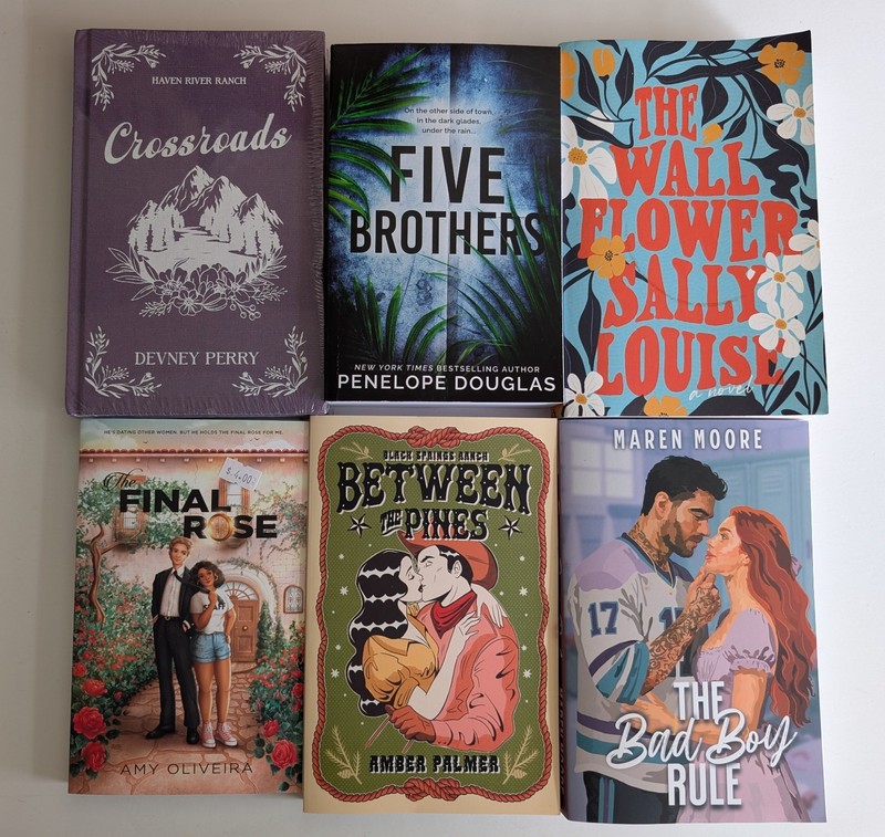 Lot 6 Probably Smut Special Editions 2024/2025 TPB/HC/AS NEW 4 Books Are Signed
