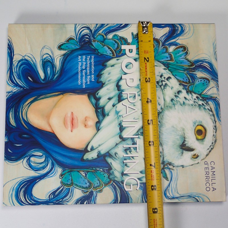 Pop Painting: Inspiration and Techniques fr- paperback, 160774807X, dErrico, new gallery