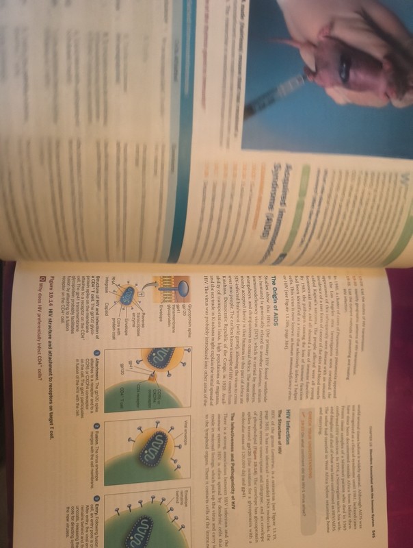 MicroBiology An Introduction 13th Edition Tortora Funke Case 978-0-13-4650518-0 gallery