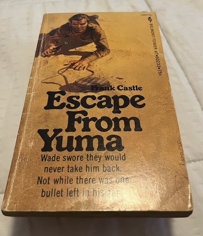 Lot Of 10 Vintage Western Paperback Books (See Photos For Titles) S15 gallery