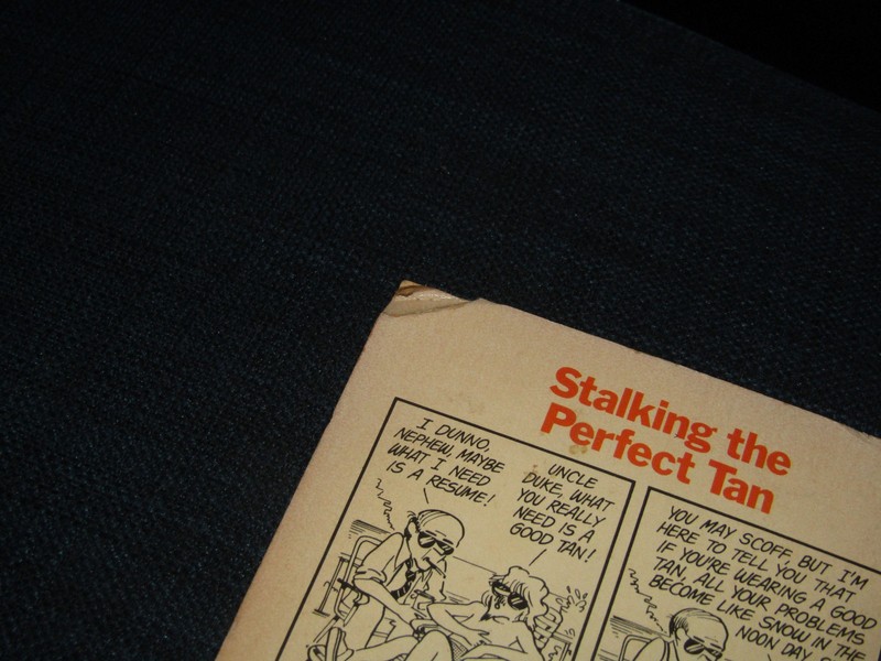 Stalking The Perfect Tan A Doonesbury book Bantam Books gallery