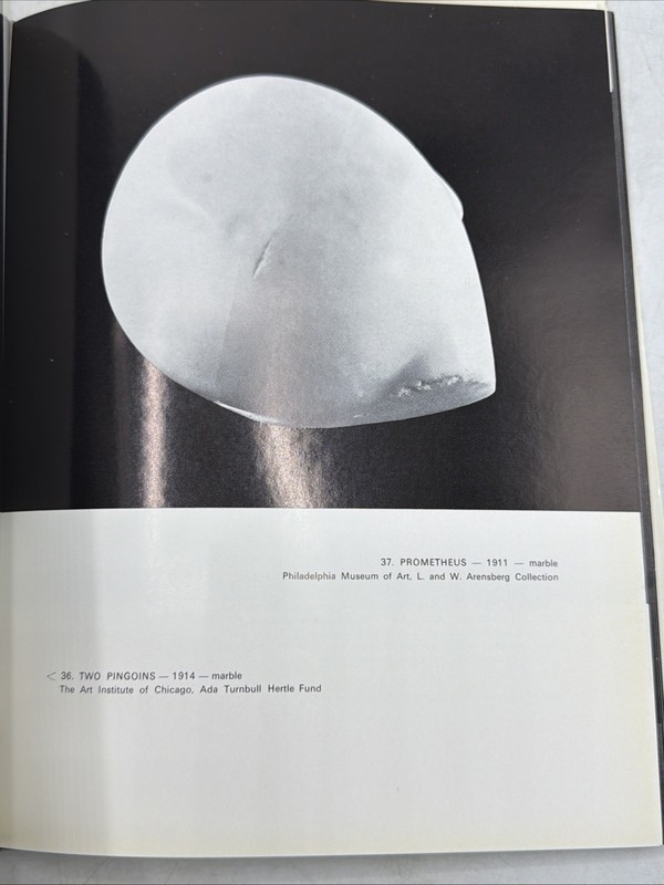 Brancusi by Ionel Jianou 1st Edition 1963 Hardcover Dust Jacket slip case Tudor gallery