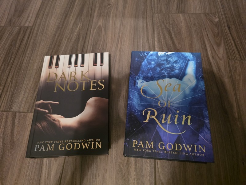 Mystic’s Dark Notes & Sea of Ruin by Pam Godwin