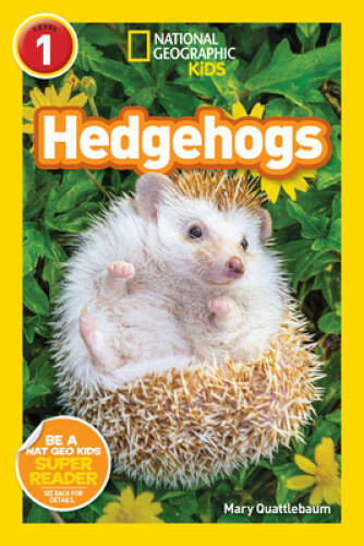 National Geographic Readers: Hedgehogs (L1) – Paperback – VERY GOOD