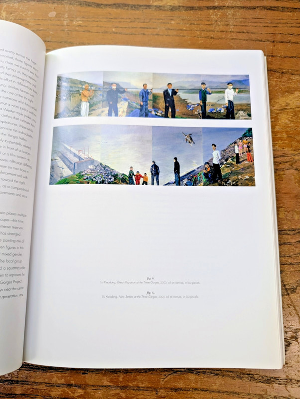 Displacement: The Three Gorges Dam and Contemporary Chinese Art Paperback 2008 gallery