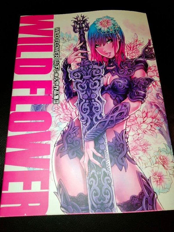 WILD FLOWER Shunya Yamashita Works II Art Book Illustration