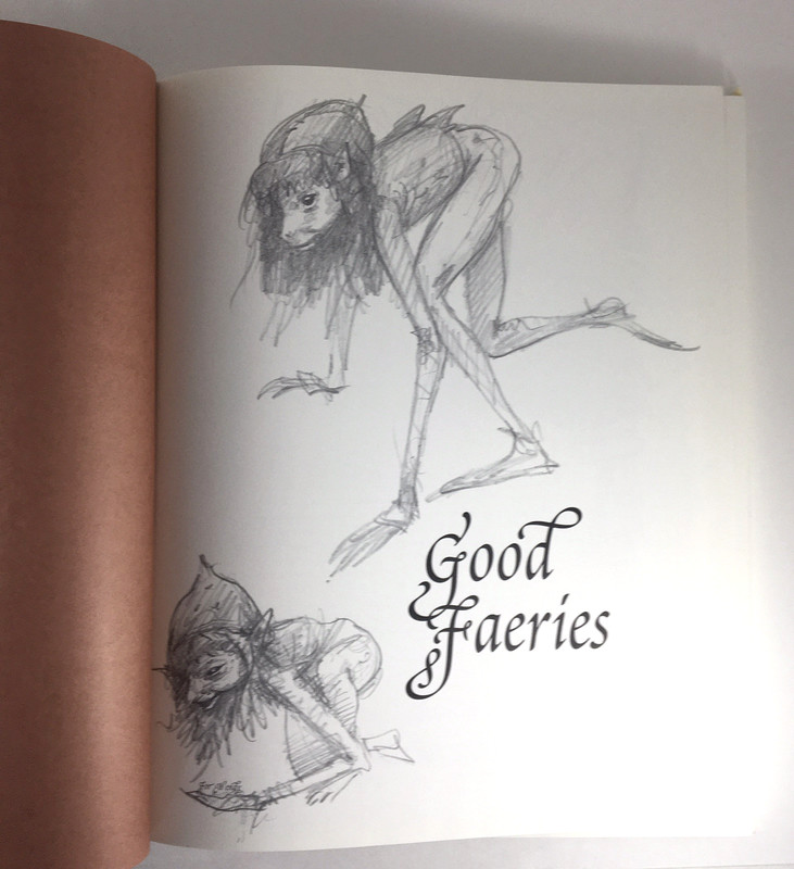 Good Faeries Bad Faeries Brian Froud c1998 HC Gr8 4 Art Framing 2-in-1 Book gallery