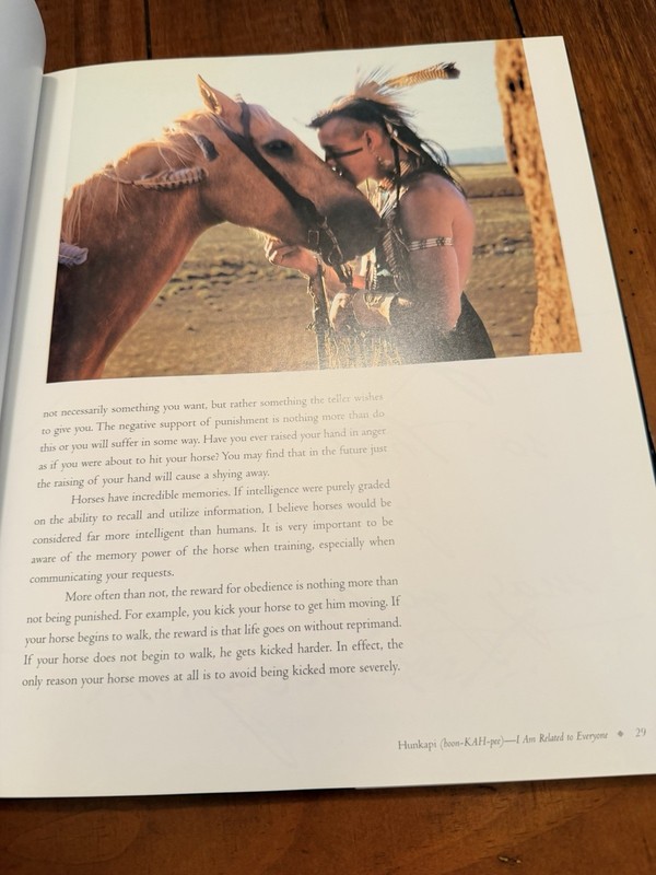 Horse, Follow Closely Native American Horse by Gawani Pony Boy, Hardcover, 1998 gallery