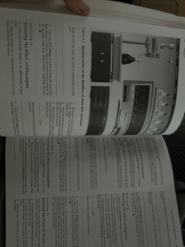 PhysioEx 6. 0 for A and P : Laboratory Simulations in Physiology by Timothy... gallery
