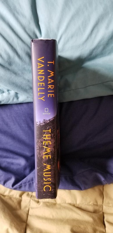 T. Marie Vandelly - THEME MUSIC - First Edition HB (2019) debut novel gallery