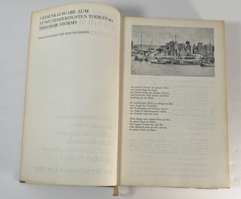Am Grauen Meer: Gesammelte Werke- Theodor Storm, 1962 GOOD CONDITION gallery
