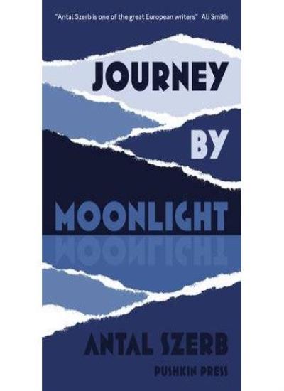 Journey by Moonlight (Pushkin Paper) By Antal Szerb