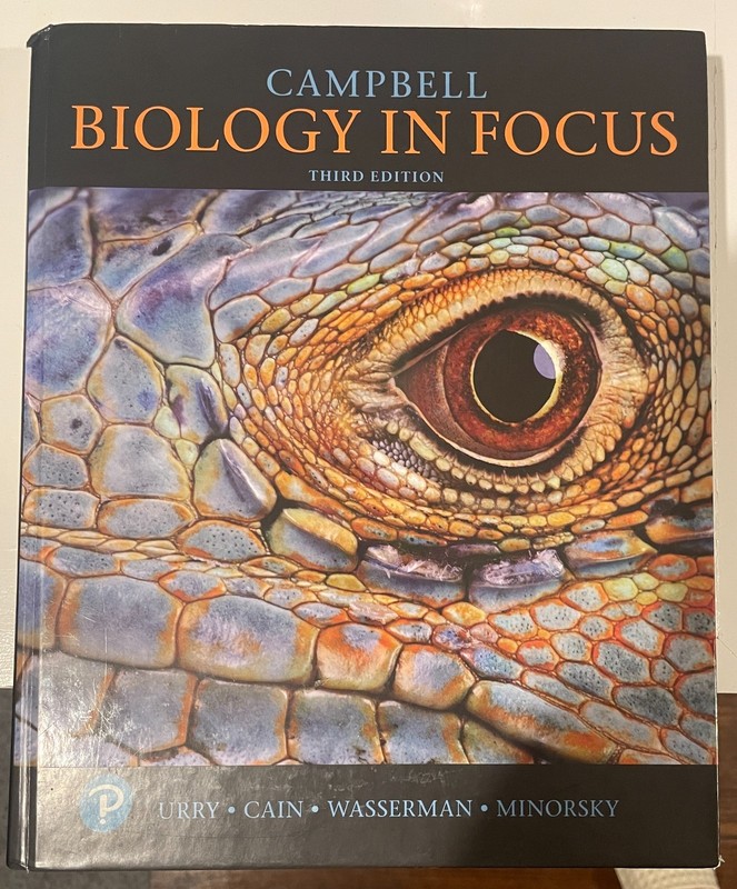 Biology in Focus