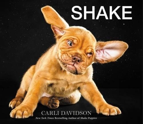 Shake, Davidson, Carli