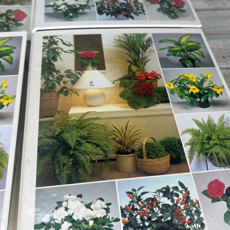 Success with House Plants 4 binders Sets 1 to 19 Plant Care Vintage gallery