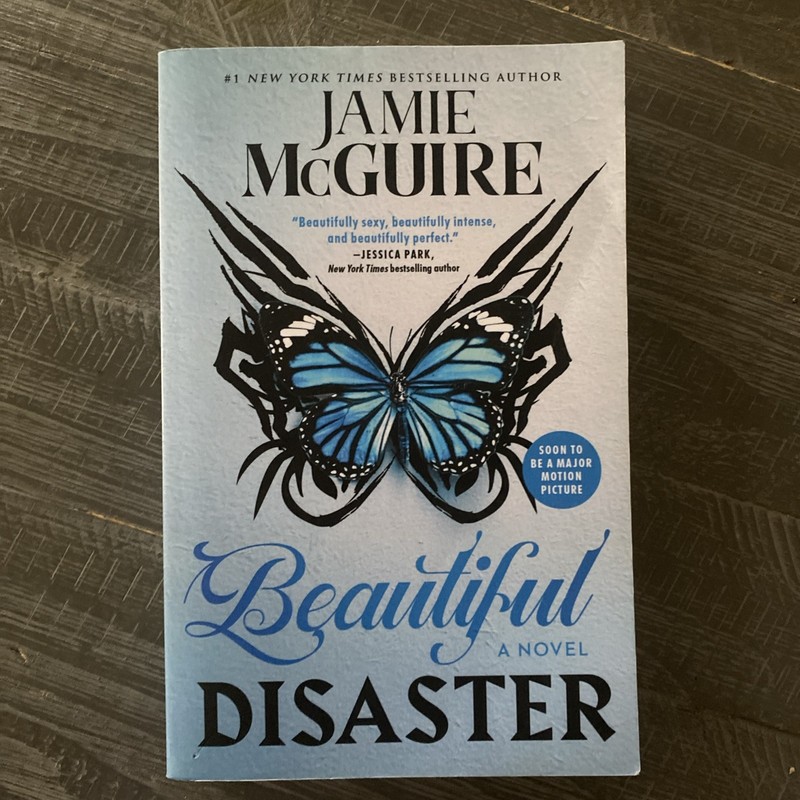 Beautiful Disaster (Paperback)