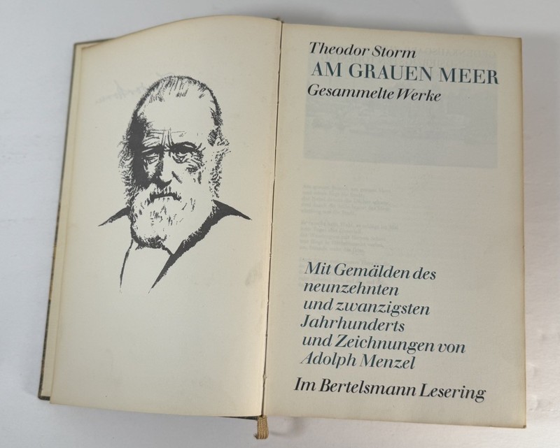 Am Grauen Meer: Gesammelte Werke- Theodor Storm, 1962 GOOD CONDITION gallery
