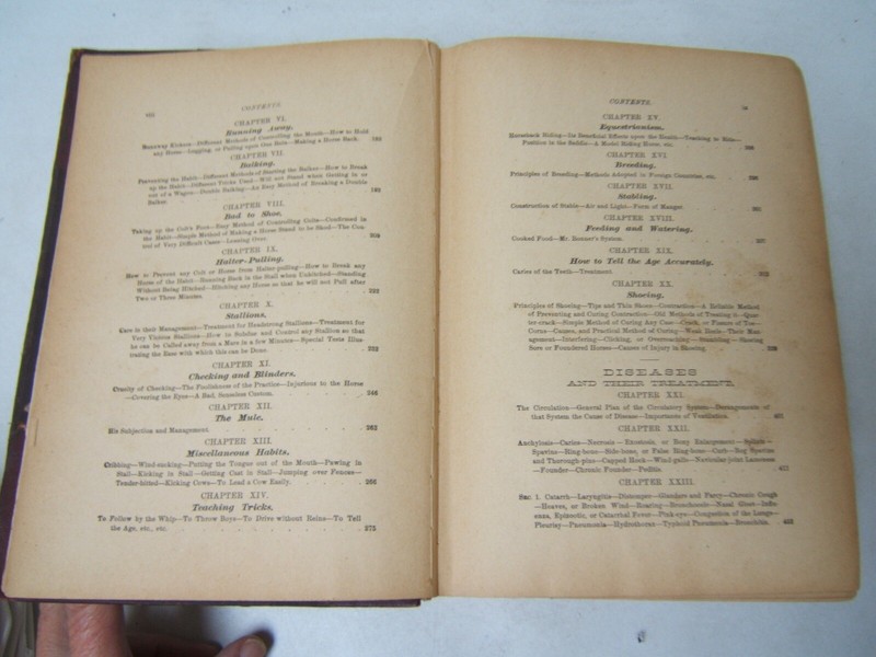 Magner's Standard Horse and Stock Book 1905 1200 Pages 1756 Illustrations gallery