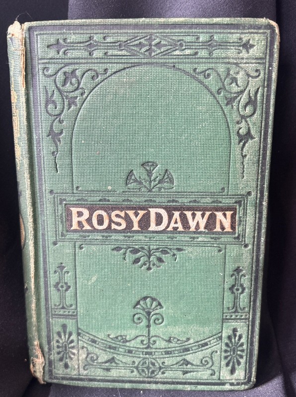 The Twin Brothers Hugh And Malcom Rosy Dawn Stories 1869 Leather VG+