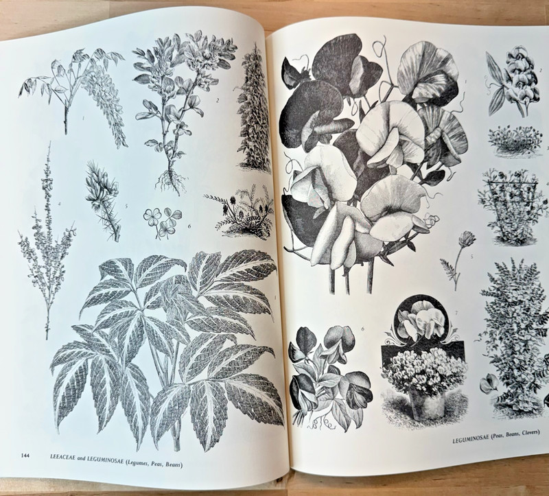 Plants 2400 Royalty-Free Illustrations Of Flowers, Trees, Fruits and Vegetables gallery